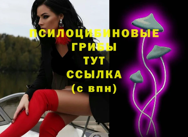гидропоника Алексеевка