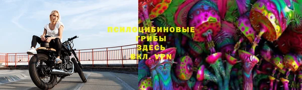 экстази Арсеньев