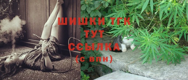 экстази Арсеньев