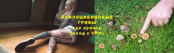 a pvp Армянск
