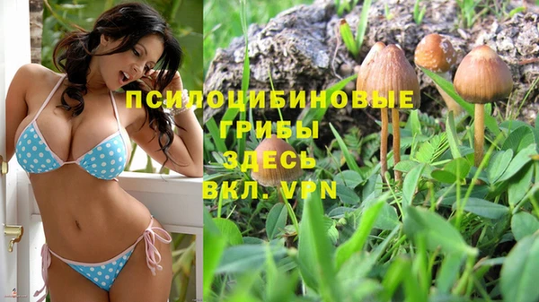 тгк Алексин