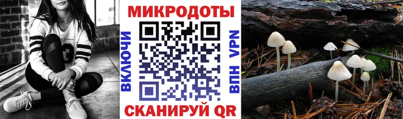 Галлюциногенные грибы Magic Shrooms Петровск-Забайкальский
