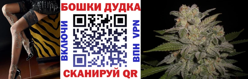 купить наркотики цена Петровск-Забайкальский Бошки Шишки Bruce Banner